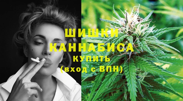 гидропоника Каменка