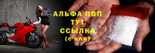 каннабис Каменногорск