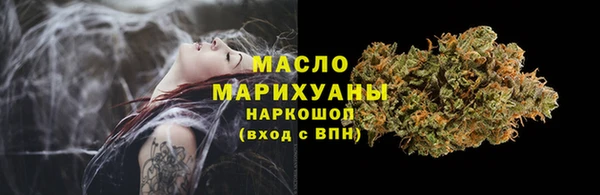 гидропоника Каменка