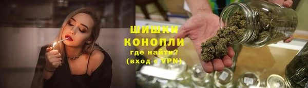 гидропоника Каменка