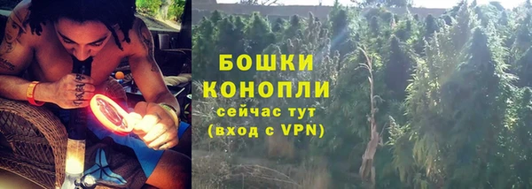 гидропоника Каменка