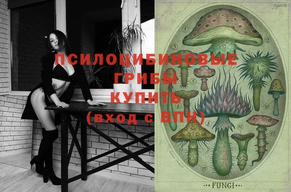 гидропоника Каменка